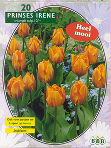 Тюльпан Tulipa Prinses Irene, Triumph per 20