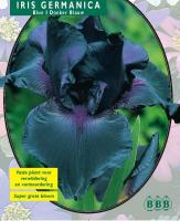 Ирис Iris Germanica, Donkerblauw per 3