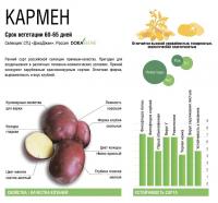 Картофель семенной ранн. (60-65 дн) Кармен 2 кг