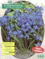 Сцилла Scilla Siberica blue 7/8, per 40