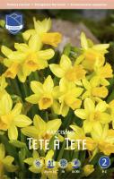 Нарцис Tet-aTet