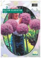 Алиум Allium Gladiator His Excellence per 3