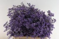 Лимониум LIMONIUM  SKYLIGHT