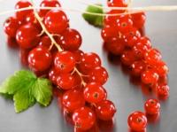 Смородина красная Ненаглядная(средний,ягоды среднии,вкус кисло-сладкий) 2-х летка  ПР