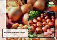Лук-севок Uien Sturon, 500 gr.