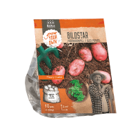 Картофель Pootaardappel Bildstar per 2,5 kg Голландия