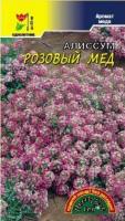 Алиссум Розовый мед Цветущий сад