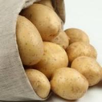 Картофель семенной позд.(105-110)  Никулинский 2кг Россия