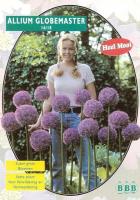 Аллиум Allium Globemaster (unpacked) 10305