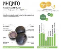 Картофель семенной ранн.(65-75 дн.) Индиго