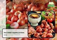 Лук-севок Uien Red Sun, 500 gr.
