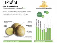 Картофель семенной средн.(90 дн.) Прайм Элита 2кг Россия