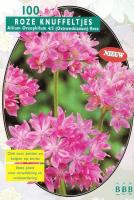 Алиум Allium Oreophilum per 100