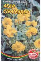 Гравилат 