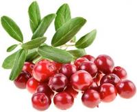 Клюква Kleinfruit Gemengd