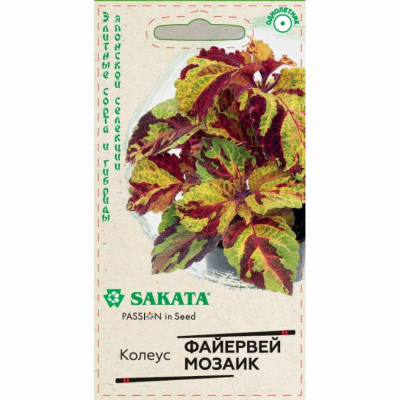 Колеус Блюме Файервей Мозаик SAKATA