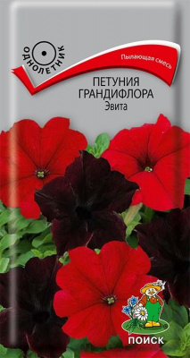 Петуния грандифлора Эвита (ЦВ) (