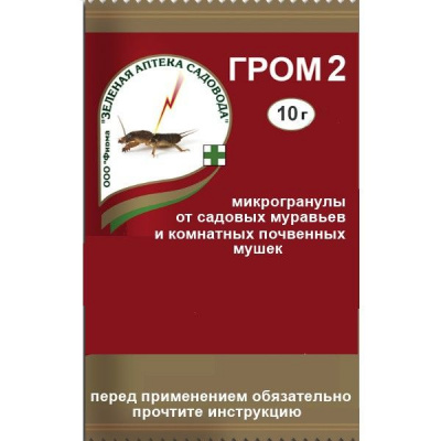 Гром-2 (10г)