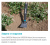 Тяпка садовая NatureLine 17110-20 Gardena Тяпка садовая NatureLine 17110-20 Gardena