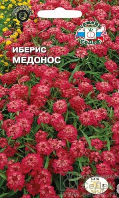 Иберис Медонос (зонтичный,красный) 0.2 г Седек