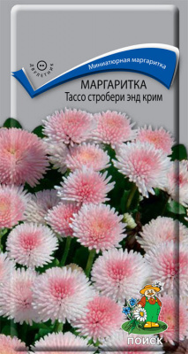 Маргаритка Тассо стробери энд крим (ЦВ) (