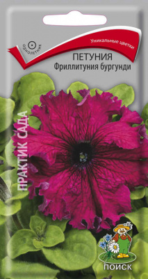 Петуния Фриллитуния бургунди (ЦВ) (