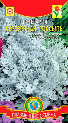 Цинерария Серебряная россыпь 100 шт ПЗ