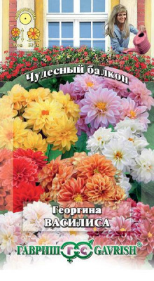 Георгина Василиса 0,3 г серия Чудесный балкон Н10 Гавриш