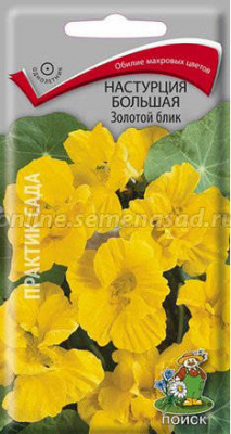 Настурция большая, Золотой блик 1гр ПО
