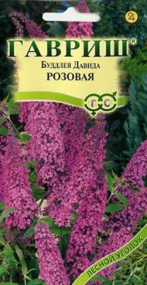 Буддлея Давида видовая розовая 0,1г Гавриш