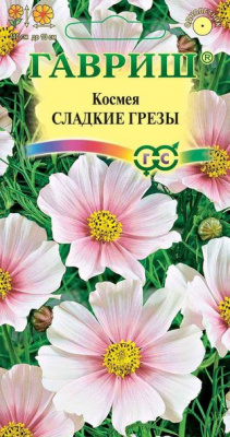 Космея сладкие грезы Гавриш