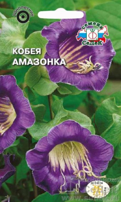 Кобея Амазонка (лазающая,фиолетовая) 0.5 г Седек