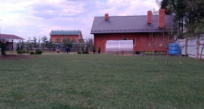 Газон рулонный Элитный