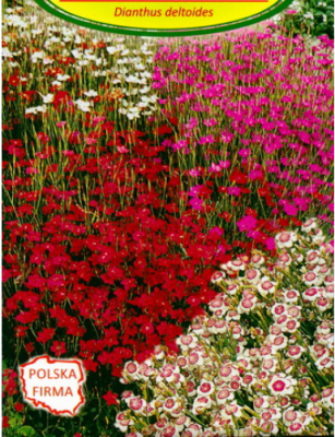 Гвоздика травянка (Dianthus deltoides смесь