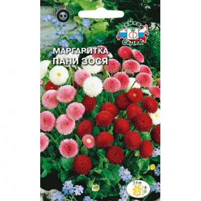 Маргаритка Пани Зося(многолетняя,помпонная смесь цвентов) 0,04 г  Седек