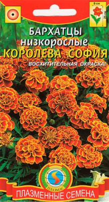 Бархатцы низкорослые Королева София отклоненные 45 шт ПЗ