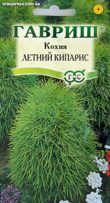 Кохия Летний кипарис (веничная) 0.3 г Гавриш