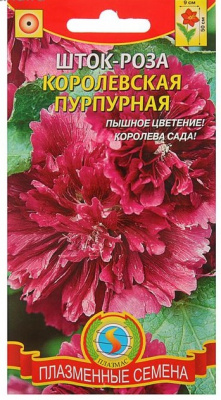 Шток-роза 
