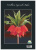 Fritillaria Imperialis Rubra (unpacked)