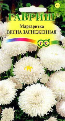 Маргаритка Весна заснеженная* 0,05 г ГВ