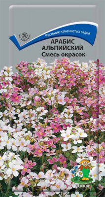 Арабис альпийский Смесь окрасок (ЦВ) (