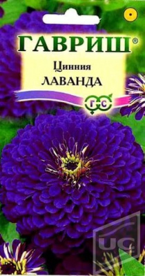 Цинния Лаванда 0.5 г Гавриш