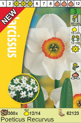 Нарцис Narcis Poeticus Recurvus 12/14, per 300, HBM