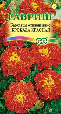 Бархатцы откл.Брокада красная (Тагетес) 0.3 г Гавриш