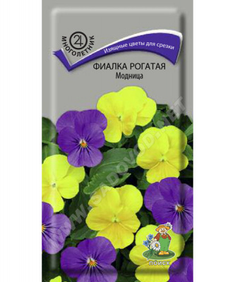 Фиалка рогатая Модница (ЦВ) (