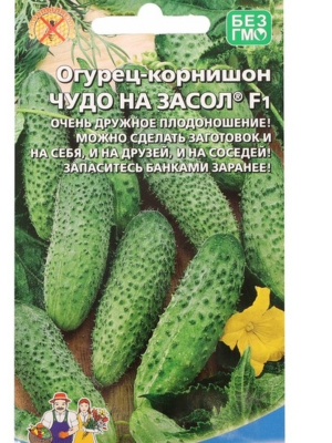 Огурец корнишон Чудо на засол Уральский дачник