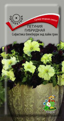 Петуния гибридная Софистика блекберри энд лайм грин(ЦВ) (