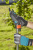 Высокорез StartCut 160 plus 12000-20 Gardena Высокорез StartCut 160 plus 12000-20 Gardena