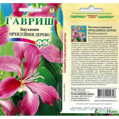 Баухиния Орхидейное дерево 3 шт Гавриш