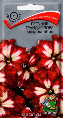 Петуния грандифлора Кан кан вишневая (ЦВ) (
